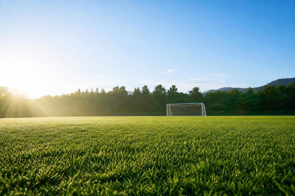 朝の光が差す、誰もいない練習場のサッカーゴール